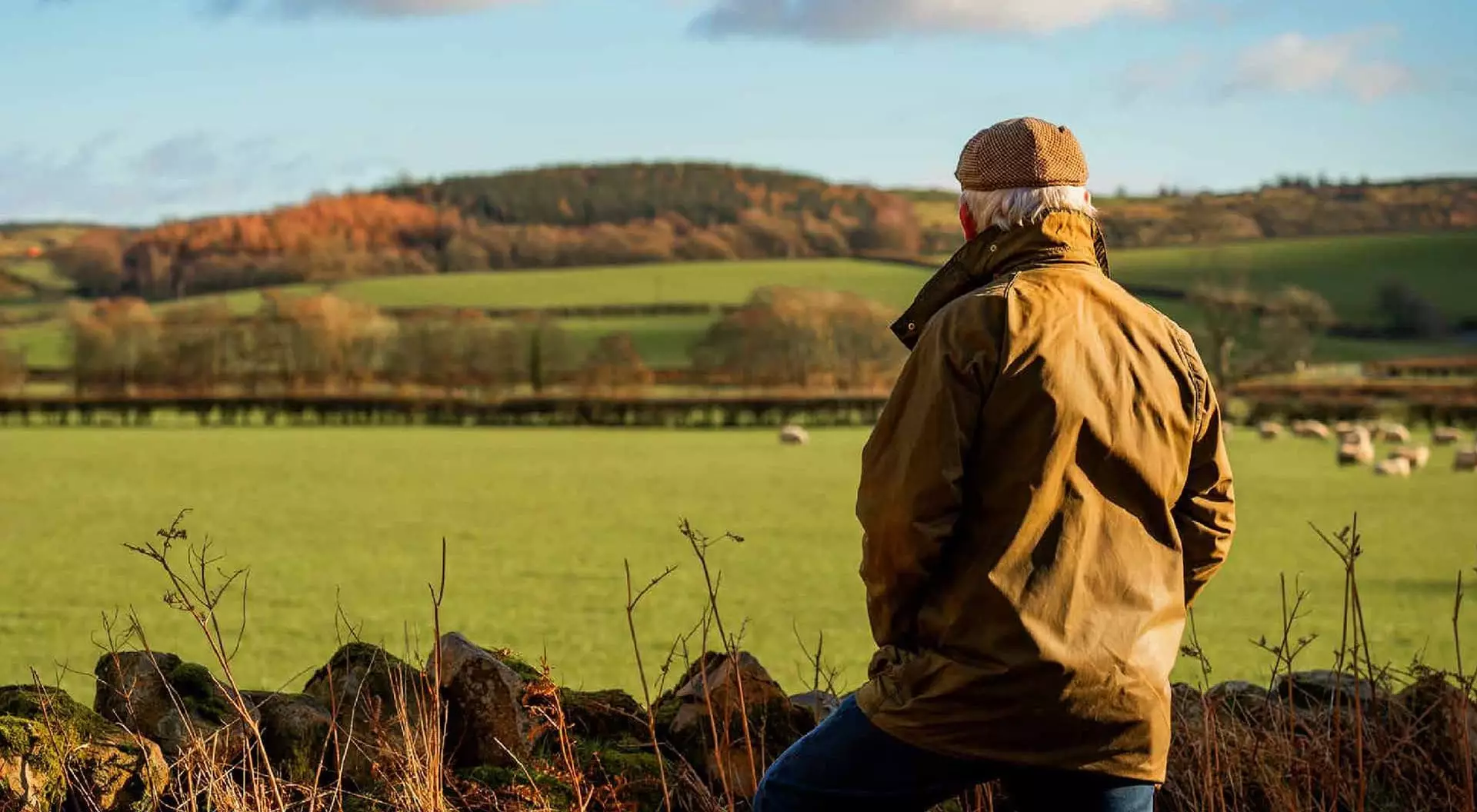 Someone in a waxed jacket looking out over fields and grazing sheep